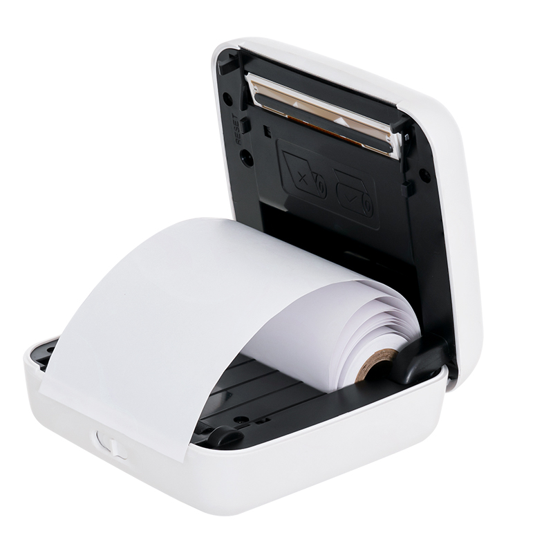 TP6-S Mini Inkless Pocket Printer